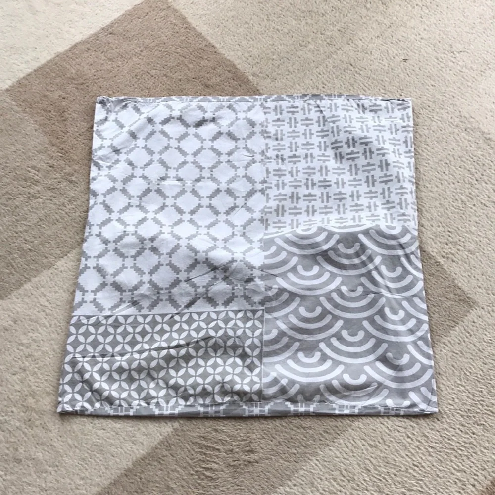 Crate & Barrel Euro Sham